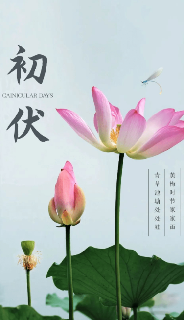 熱、熱、熱！入伏中……